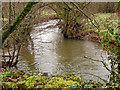 Looking down the river Yeo from a bridge in Dymsdale Wood