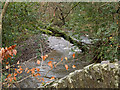 Looking up the river Yeo from a bridge in Dymsdale Wood