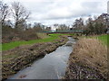 The Hatchford Brook