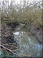 Tributary of the Hatchford Brook