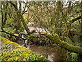 Looking up the river Yeo from a bridge near Broad Parkham