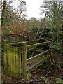 A gate and steps takes the walker onto the road in Dymsdale Wood