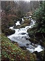 NY3606 : Waterfalls at Rydal Hall by Anthony Parkes