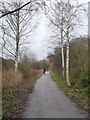 Cyclists on the national cycle route 64