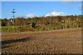 View across field from Chapel Lane near Three Acres