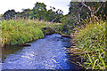 Culter Burn