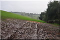 Mid Devon : Muddy Field