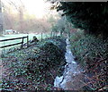 Unnamed stream flows away from Forge Road, Tintern