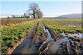 Farmland, Eckington Field Farm