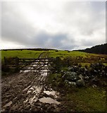 NX2863 : Gate and Track by Andy Farrington