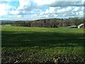 View over fields and woods from Botley Road at Curdridge