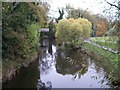 The Bann upstream of the Solitude Park Suspension Bridge