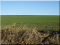 Farmland off Dalton Back Lane