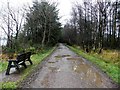 A muddy path, Loughmacrory