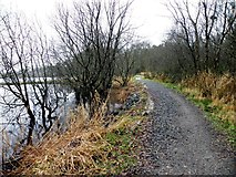 H5776 : Path, Loughmacrory by Kenneth  Allen