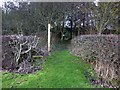 Footpath to Longhorsley