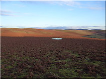 SO0852 : Small stock pool on Aberedw Hill above Cwm Milo by Jeremy Bolwell