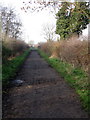 Bridleway goes under the A421