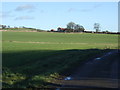 Farmland and track towards Sheraton West Grange