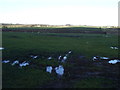 Farmland north of Hurworth Burn Road