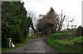 Public footpath, Steyning