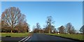 Common land and trees by Poolbrook Road