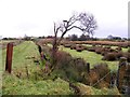 Ballynamallaght Townland