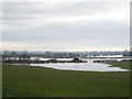 Fields in flood near Holt