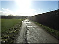 Farm track heading south