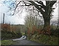 Muddicombe Cross