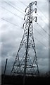 Pylon by the M25