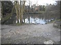 Duckpond on Totteridge Green