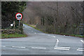 Road heading for Penmaenpool Bridge