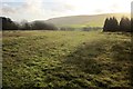 Grassington Park Estate Meadows