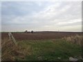 Gateway into ploughed arable field, near Highlaws Farm