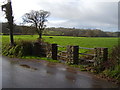 Home Farm bridge, Poltimore