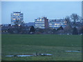 Office blocks by Chandos Recreation Ground, Edgware