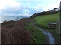 A public footpath above the railway line, Carbis Bay