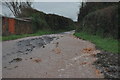 Mid Devon : Country Lane