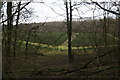 New plantation between Haugham Pasture and Maltby Wood