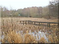 SK5446 : Moorbridge Pond Nature Reserve, Bestwood, Notts. by David Hallam-Jones