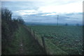 Mid Devon : Muddy Path & Field