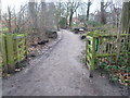 Entrance to the Woodland Walk, Queen