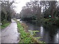 Basingstoke Canal: Reach in Woodham