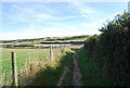 Pembrokeshire Coastal Path