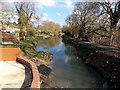 East along the Stroudwater Canal from Chestnut Lane bridge, Stroud