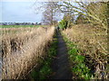 Footpath towards Sandwich