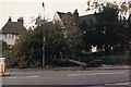 TQ2588 : Casualty of the 1987 storm, Erskine Hill by David Howard