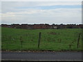 Grazing west of Fleetwood Road