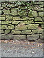 OS benchmark - Bridgnorth, Oldbury Wells wall